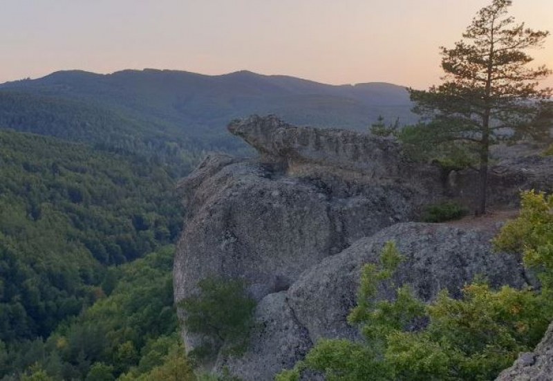Мъж падна от 100-метрова скала в Родопите, оцеля