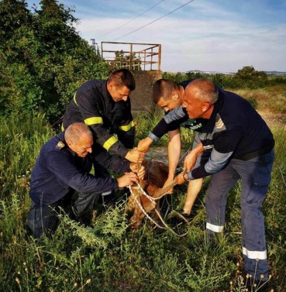 Сливенски пожарникари и двама служители на Регионалната дирекция по горите