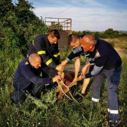 Сливенски пожарникари и двама служители на Регионалната дирекция по горите