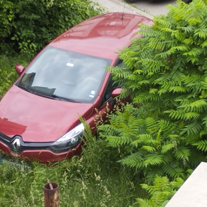 Шофьор паркира колата си в тревни площи Антония Близнакова е заснела