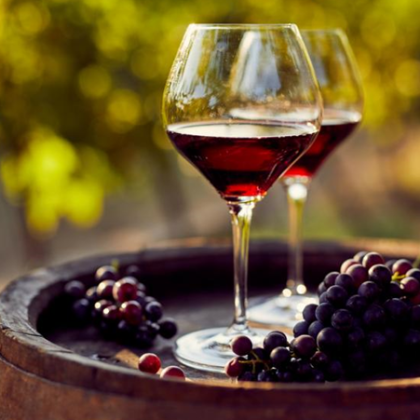 Добре дошли във вълнуващия свят на виното и пътешествията  От величествените