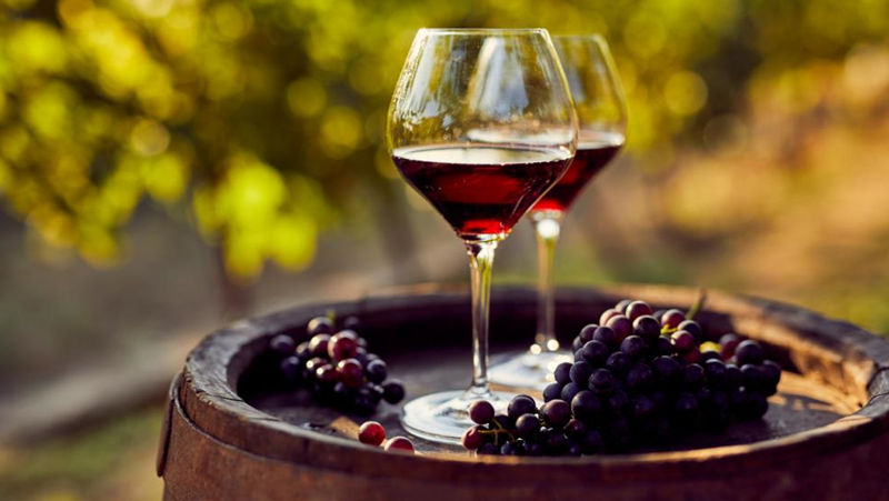 Добре дошли във вълнуващия свят на виното и пътешествията! От величествените