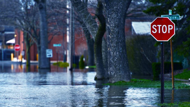 Най-наводнени са местата, където липсват зелени площи. В София зелените