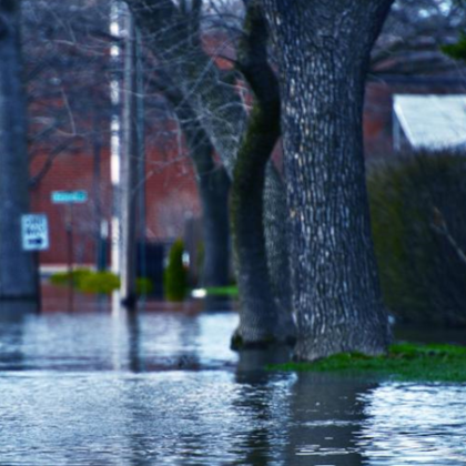 Най наводнени са местата където липсват зелени площи В София зелените