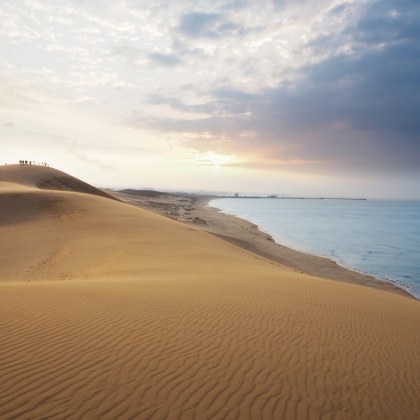 Дюни от златни песъчинки се издигат към парещото слънце От