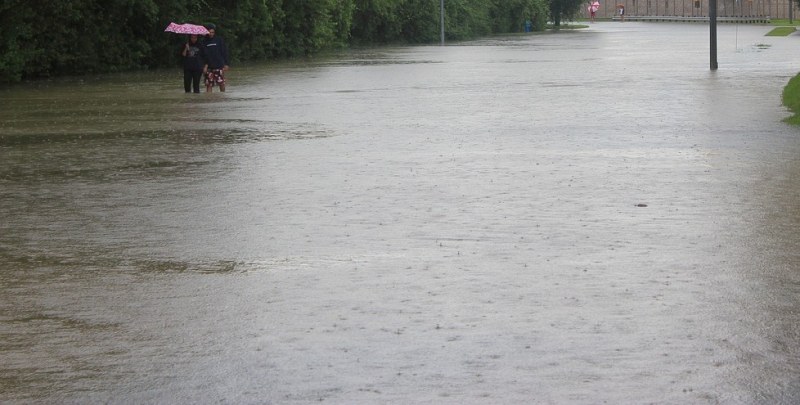 Аварийни екипи отводняват къщи и улици в столичен район