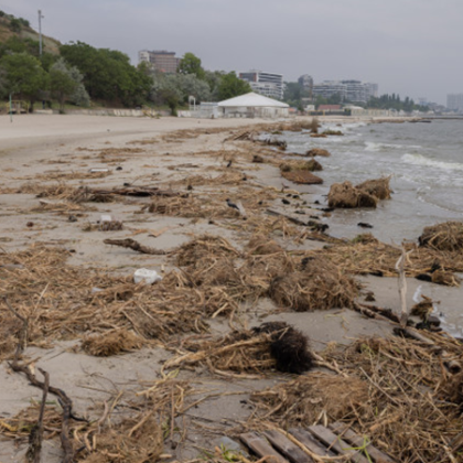 Плажовете на Одеса са обявени за негодни за къпане поради