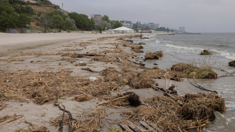 В Одеса забраниха къпането на градските плажове заради замърсяване на водата