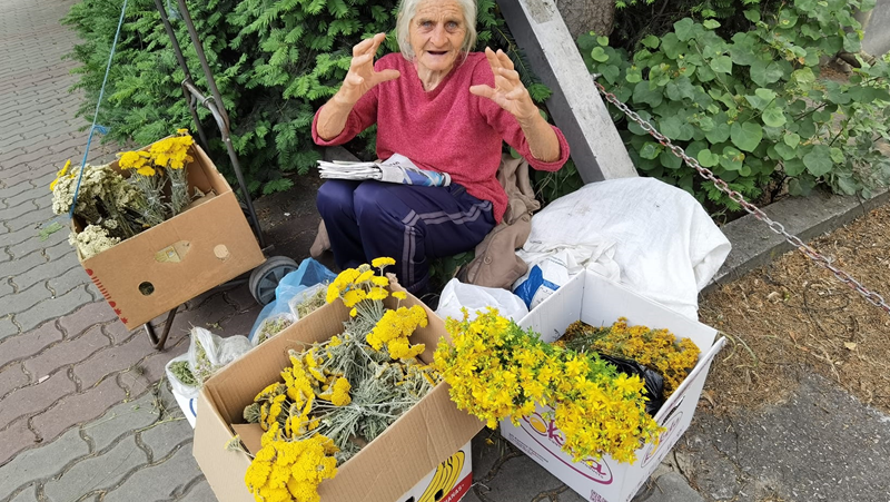 Всички я обичат! Баба Стефка, която продава билки във Велико Търново СНИМКИ