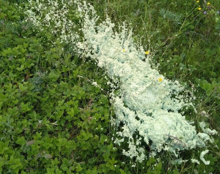 Откриха грозна гледка на китна родопска поляна СНИМКА