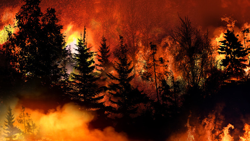 Пореден голям горски пожар се разрази днес в егейския турски