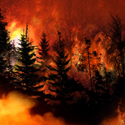 Пореден голям горски пожар се разрази днес в егейския турски
