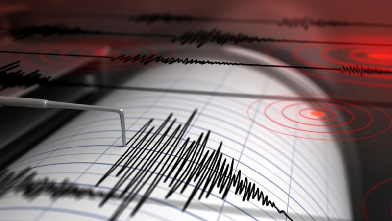 Земетресение от 4,2 по Рихтер е регистрирано в 12:05 часа