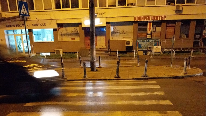 Шофьор замалко да премаже жена и кучето й на пешеходна пътека в София