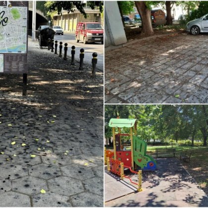 Oпадали плодове от черници по улиците в Пловдив продължават да