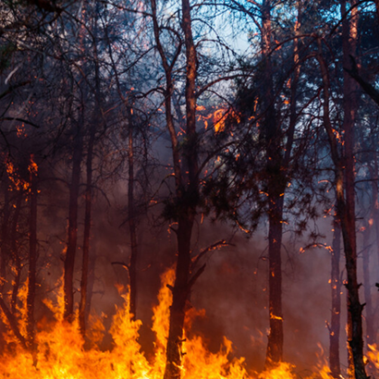 Пожар гори в бургаския квартал Ветрен Огънят е тръгнал от сухи