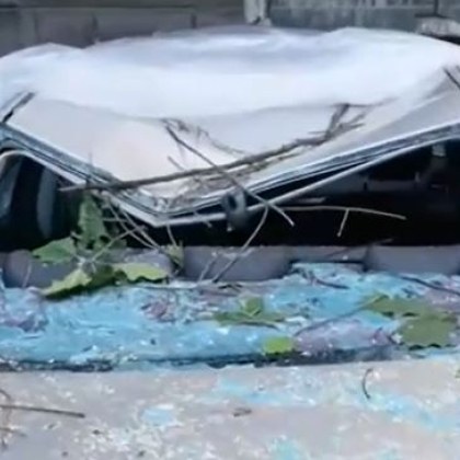 Дърво падна върху кола в Пловдив Точното място е улица
