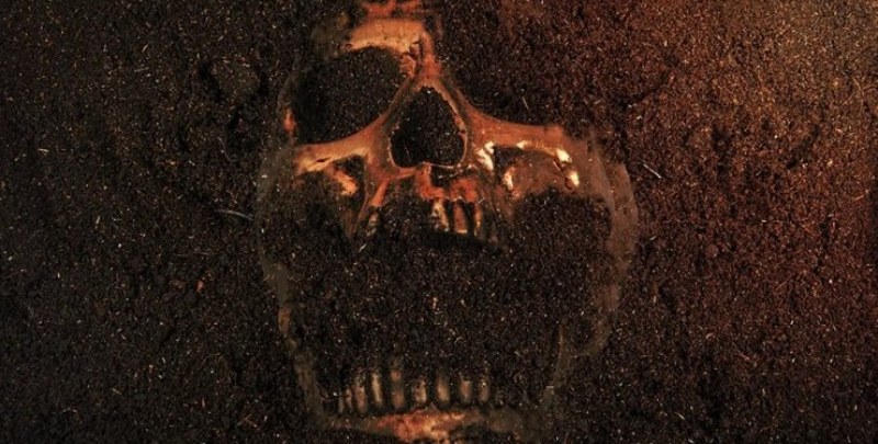 Учените се смеят - креационисти твърдят, че са открили черепа на Голиат СНИМКА