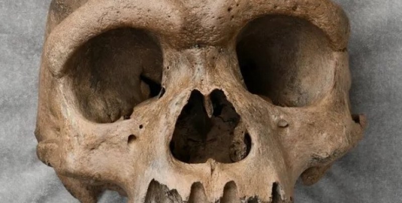 Некромантия в Йерусалим: Намерени човешки черепи свидетелстват за общение с мъртвите