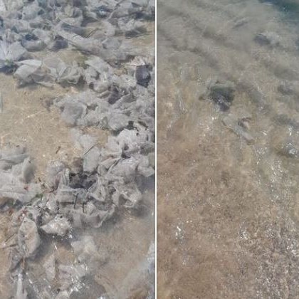 Тонове използвани мокри кърпички е изхвърлило морето на Южния плаж