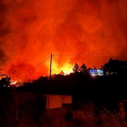 Горски пожар на испанския остров Ла Палма е наложил да