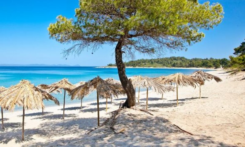 В Гърция арестуват родители за тази проява на плажа