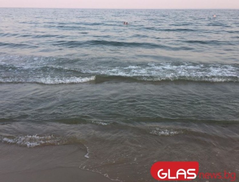МОСВ с последни данни за чистотата на Черно море