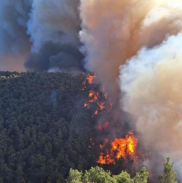 Големи горски пожари в Гърция, евакуират хора СНИМКИ