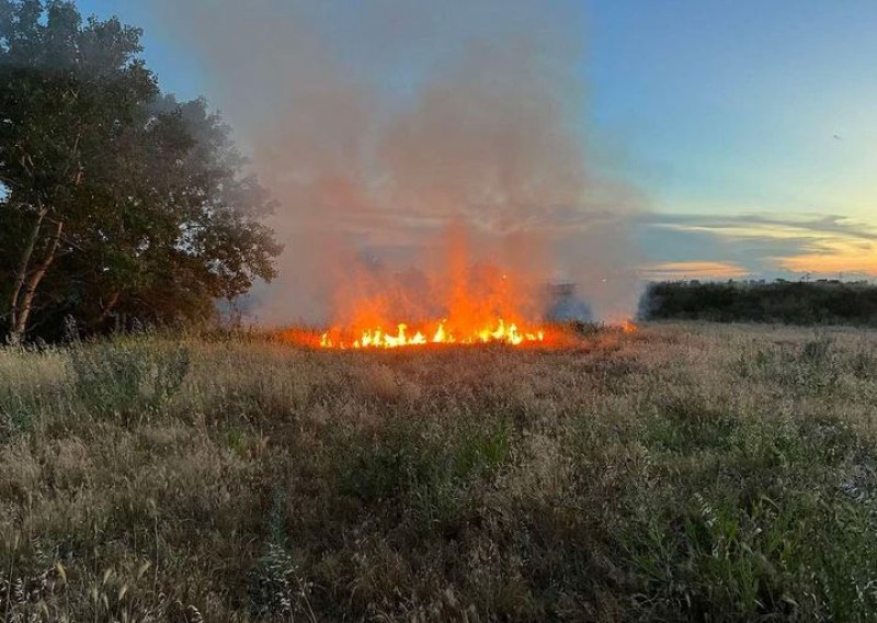 Голям пожар гори в момента в квартал Долапите край Русе. Според