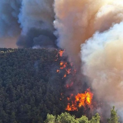 Големи горски пожари бушуват край гръцката столица Атина На жителите