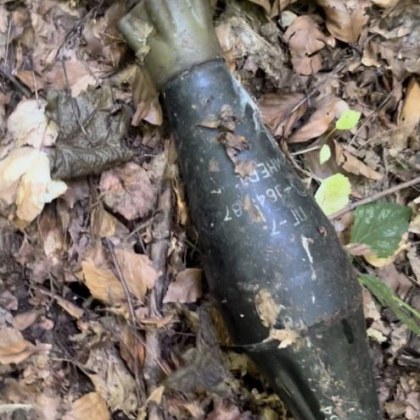 Жена откри базука в местността Бонсови поляни край София Алина Дуарте