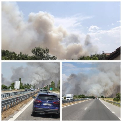 Пожар е пламнал до Пловдив днес Горят ниви до село