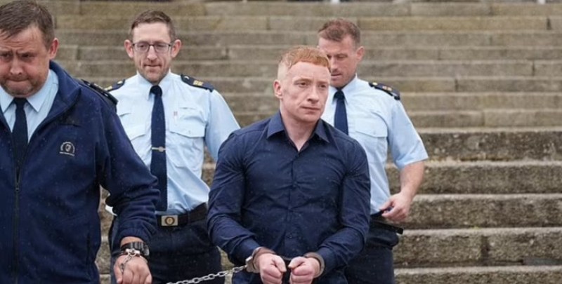 40-годишният Деклан Хъни от Карлоу, Ирландия, се призна за виновен