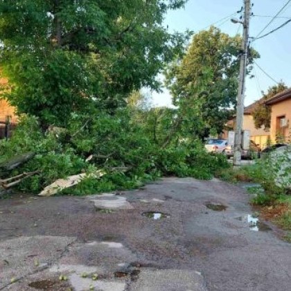 Обявиха частично бедствено положение в Бяла Слатина