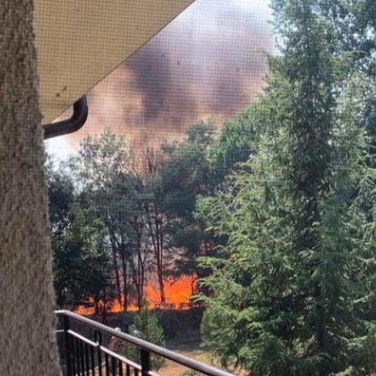 Пожар пламна около река Марица в Пловдив Той е избухнал