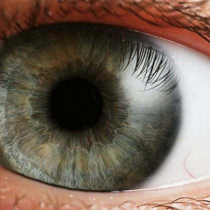 Ново научно изследване разглежда зеницата на окото Открито е че