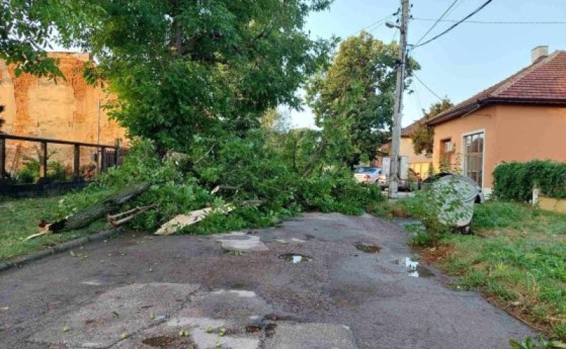 Обявиха частично бедствено положение в Бяла Слатина