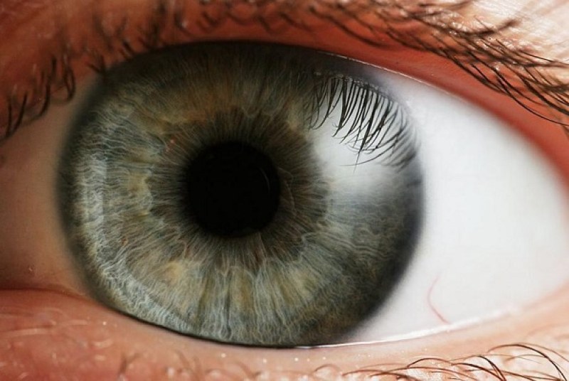 Ново научно изследване разглежда зеницата на окото. Открито е, че