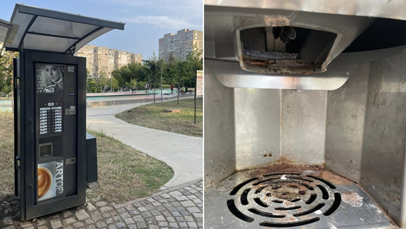 Ало, РЗИ! Мравки окупираха кафемашина в Стара Загора СНИМКИ