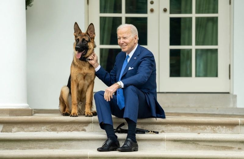 Президентът на САЩ Джо Байдън има две кучета, овчарки, наречени