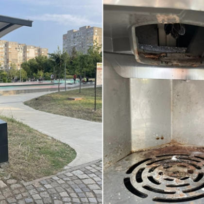 Ало, РЗИ! Мравки окупираха кафемашина в Стара Загора СНИМКИ