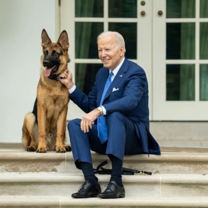Президентът на САЩ Джо Байдън има две кучета овчарки наречени