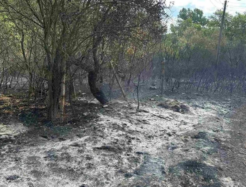 Нов пожар край Хисаря, изгоряха постройки СНИМКИ