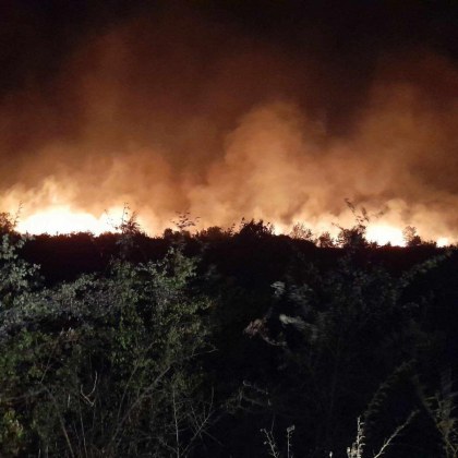 За момента пожарът в Пазарджишко между селата Величково Бошуля Памидово