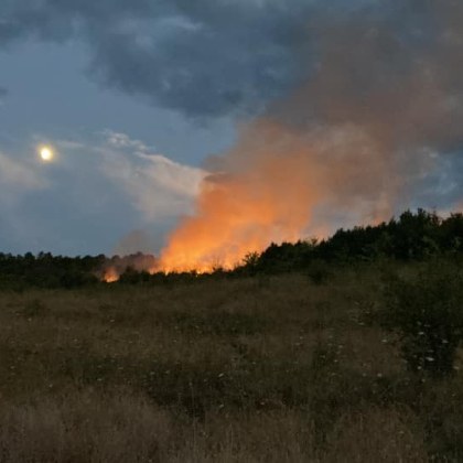 Овладяха пожара до пловдивското село Искра