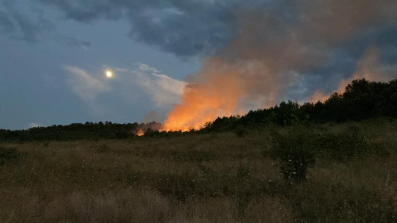 Овладяха пожара до пловдивското село Искра