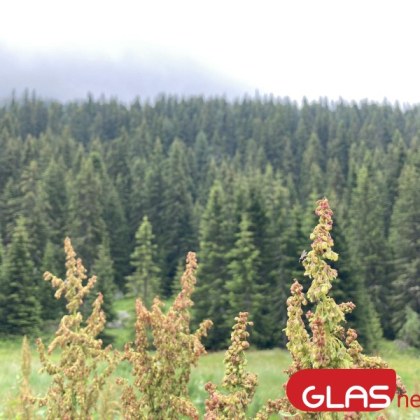 До 32° ни очакват днес, но ще има и валежи