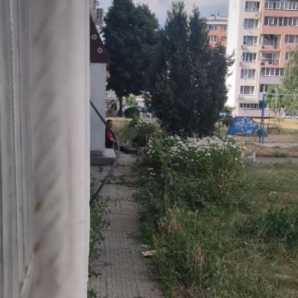 Обвиниха мъж в грозна проява, не му е за първи път СНИМКИ