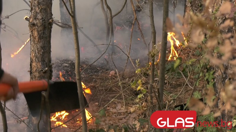 Пожар гори в горната част на парк Тюлбето в Казанлък.Сигналът е