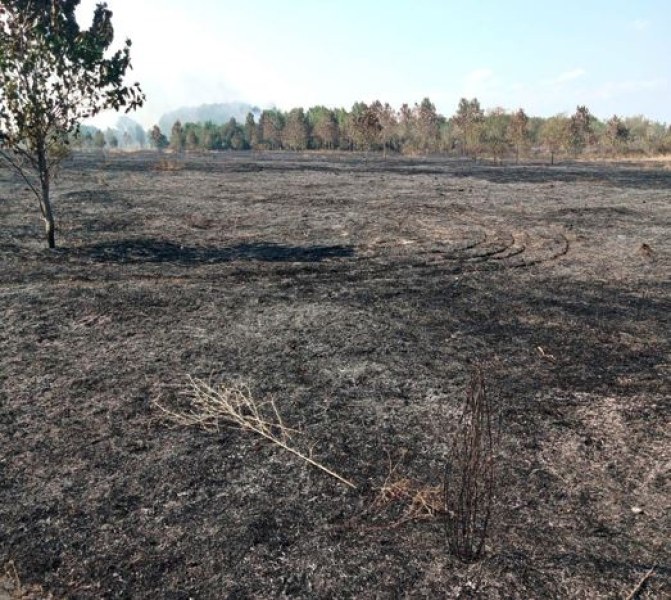 Машина за балиране се запали в Пловдивско, пожарът обхвана над 1000 дка